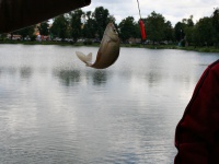 2012.07.15 - Zajęcia Sierpeckiej Szkółki Wędkarskiej